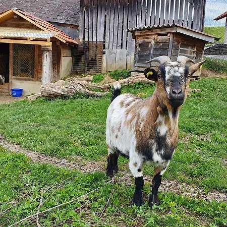 Rutschi Apartamento *